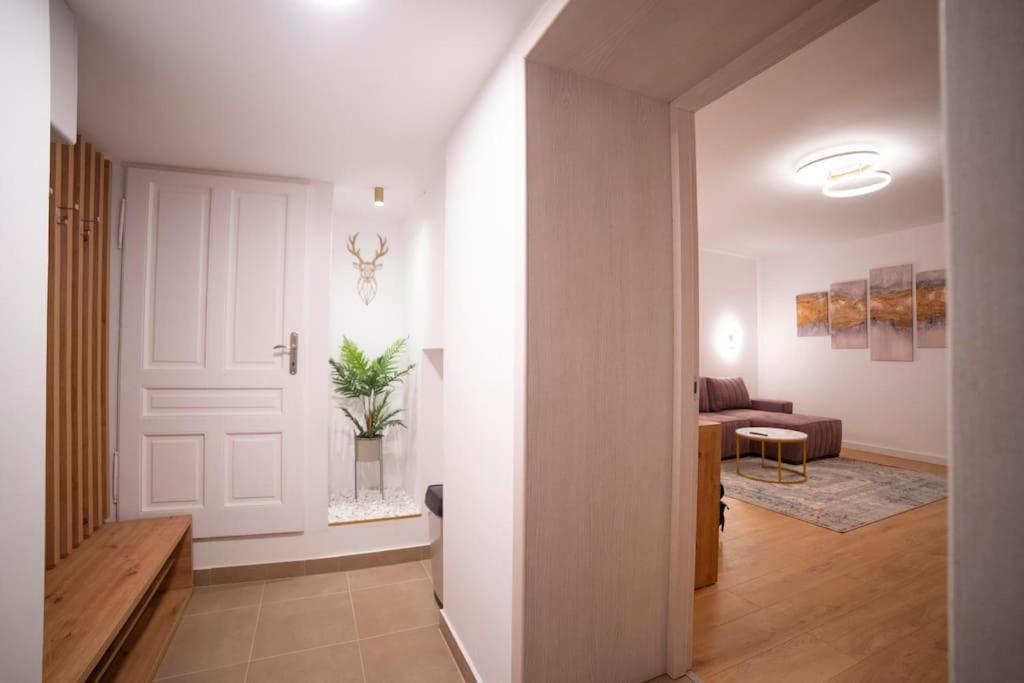Coban Residence - A3 - Scandinavian Apartment ブラショフ エクステリア 写真